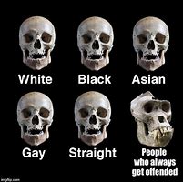 Image result for Do Not Skull Meme