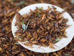 Image result for Roasted Crickets
