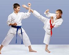 Image result for Martial Arts'