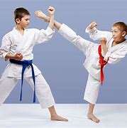 Image result for Different Kinds of Martial Arts