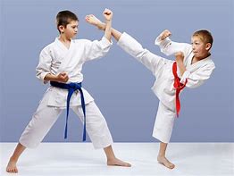 Image result for What Are the Different Types of Karate