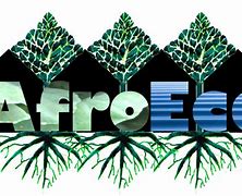 Image result for afrocis�aco