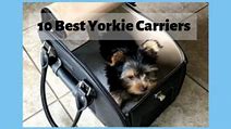 Image result for Yorkie Dog Carrier