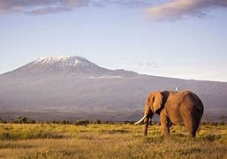 Image result for Kilimanjaro National Park, Tanzania