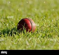 Image result for Cricket Ball in Ground