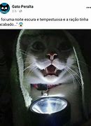 Image result for Terror Cat Meme
