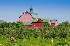 Image result for Apple Orchard Barn