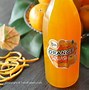 Image result for Orange Squash Drink in the Eighties