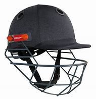 Image result for Gray Nicolls Cricket Helmet