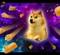 Image result for Galaxy Doge 1080