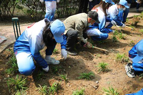 种植植物劳动过程及感受100字