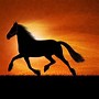 Image result for Eshay Horse No Background