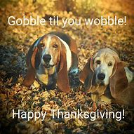 Image result for Funny Animal Thanksgiving Memes