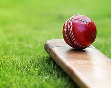 Image result for The Cricket of the Ground