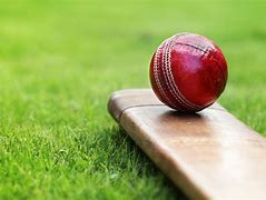 Image result for Cricket Ball On Pitch