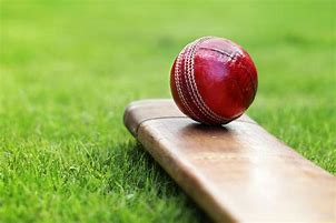 Image result for Cricket Ball On Grass