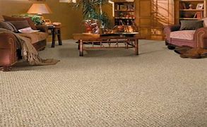 Image result for Living Room Carpet Ideas