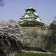 Image result for Osaka Skyline