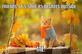 Image result for Autumn Happy Cat Meme