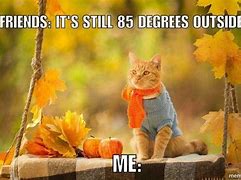 Image result for Autumn Cat Meme