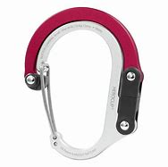 Image result for Carabiner Red