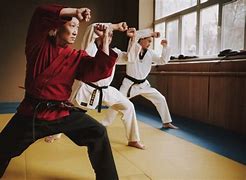 Image result for Shooting Martial Arts