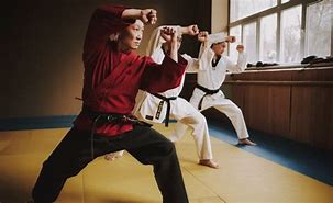 Image result for What Is the Best Martial Art