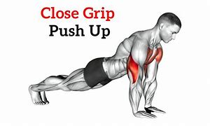 Image result for Push-Up Muscles Worked