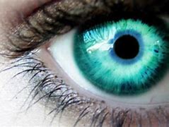 Image result for Lee Pace Eye Color
