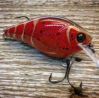 Image result for Fishing Bait