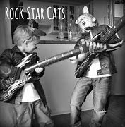 Image result for Rock Star Loves Cat