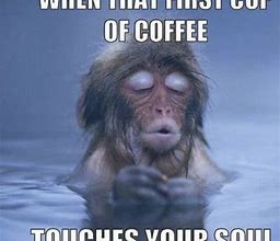 Image result for Sip Coffee Meme
