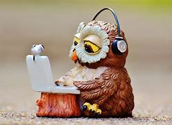 Image result for Owl Phone Case