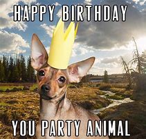 Image result for Funny Male Birthday Wishes