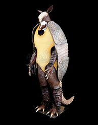 Image result for Holiday Armadillo Costume