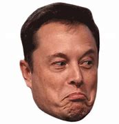 Image result for Elon Musk Bald