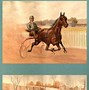Image result for Horse Portrait 1800s
