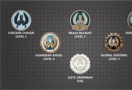 Image result for CS:GO Badges