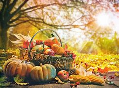 Image result for Fall Autumn Harvest