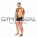 Image result for Building Triceps