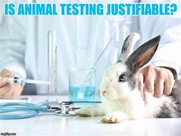 Image result for Animal Testing Meme