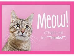 Image result for Thank You Cat Meme