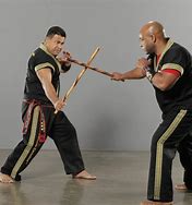 Image result for Deadly Martial Arts