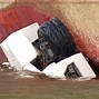 Image result for Ship Cleaning Robot