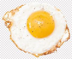 Image result for Egg with White Background