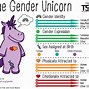 Image result for Flying Gender Unicorn