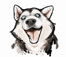 Image result for Husky Cartoon Drawing