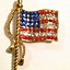 Image result for American Flag Pin Waxy
