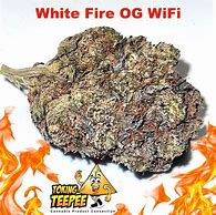 Image result for Wi-Fi Strain