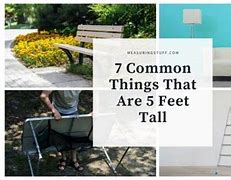 Image result for 9 Foot Things
